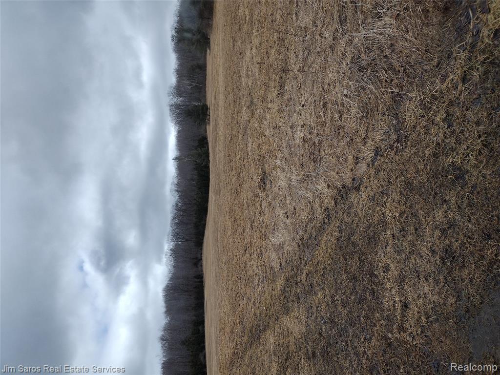 4771 East County Line Road South Branch, MI 48761 - Photo 11 of 13