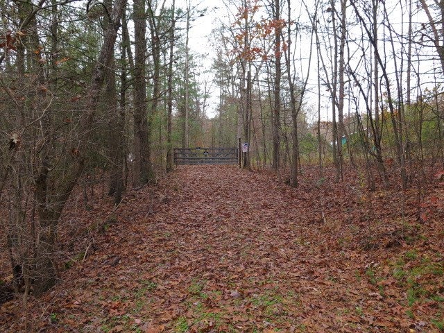 0 Forest Road Hustontown, PA 17229 - Photo 12 of 25 Gallery Image 12