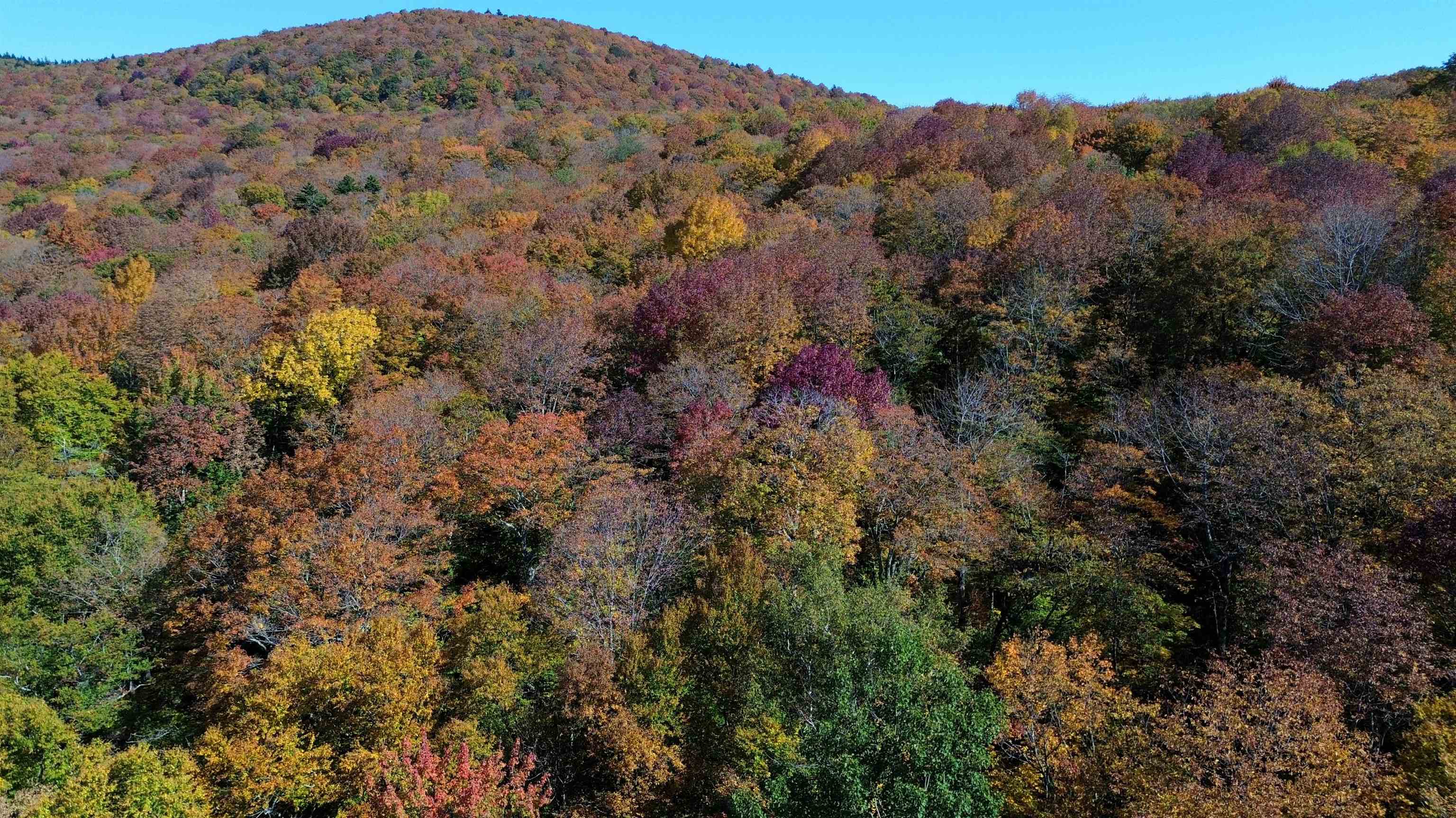 1052 Ccc Road Shrewsbury, VT 05738 - Photo 1 of 15
