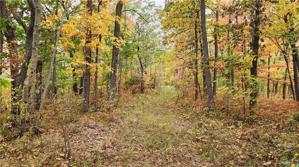 Hanyon Road Cameron, NY 14819 - Photo 28 of 34 Gallery Image 28
