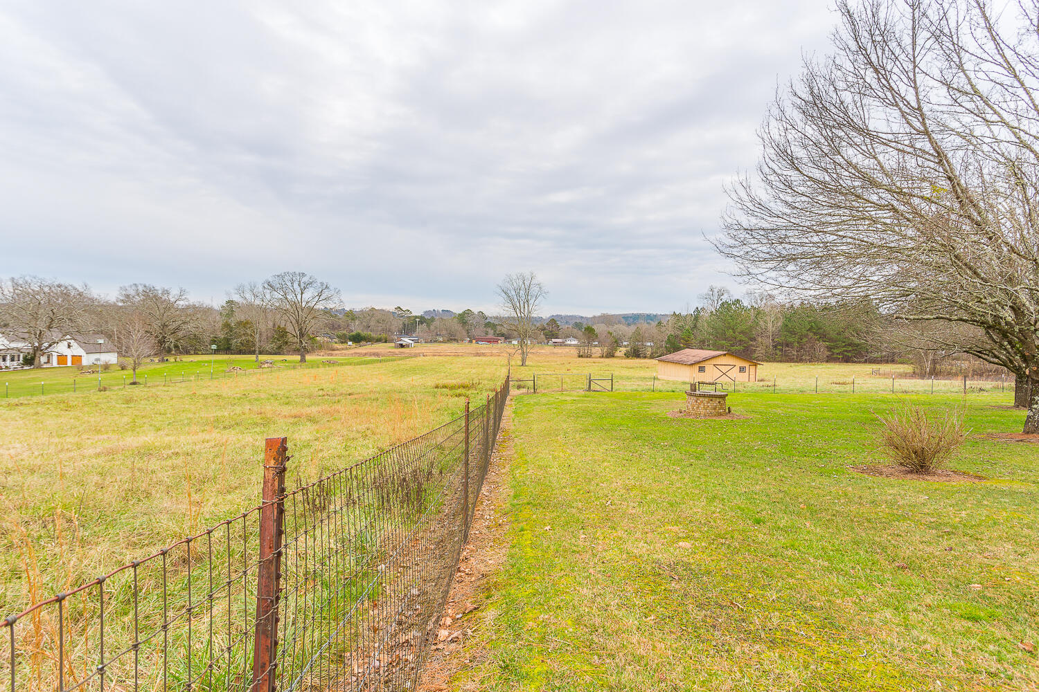 3223 Pine Grove Road Ringgold, GA 30736 - Photo 8 of 80 3223 Pine Grove HD -7
