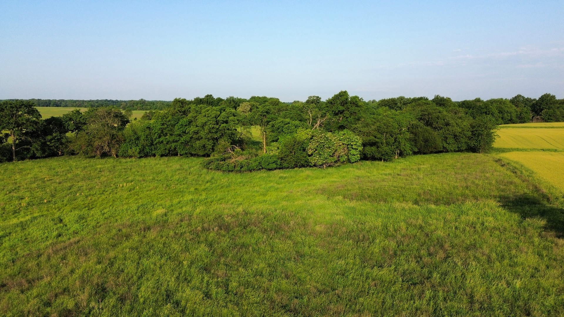 0 County Highway 29 Road Rinard, IL 62878 - Photo 11 of 28