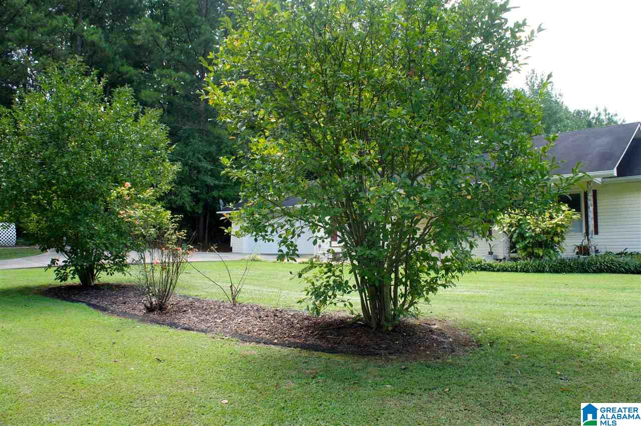 2018 Winchester Road Anniston, AL 36201 - Photo 25 of 29