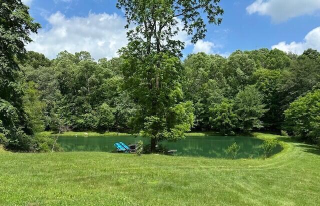 7751 Mulberry Road Heath, OH 43056 - Photo 39 of 70 BLUEGILL, BASS, CRAPPIE, SUNFISH, CATFISH, CARP WAITING FOR YOUR HOOK!