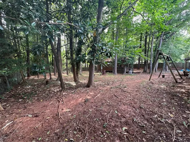 a view of a forest filled with trees