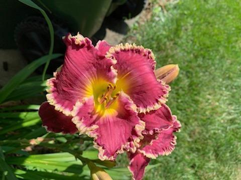 184 Washington Mill Road Bellbrook, OH 45305 - Photo 29 of 30 Gallery Image 29