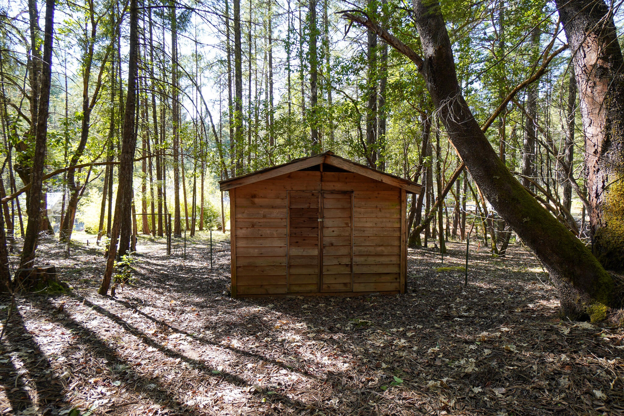 485 Round Prairie Road Wilderville, OR 97543 - Photo 41 of 49 41
