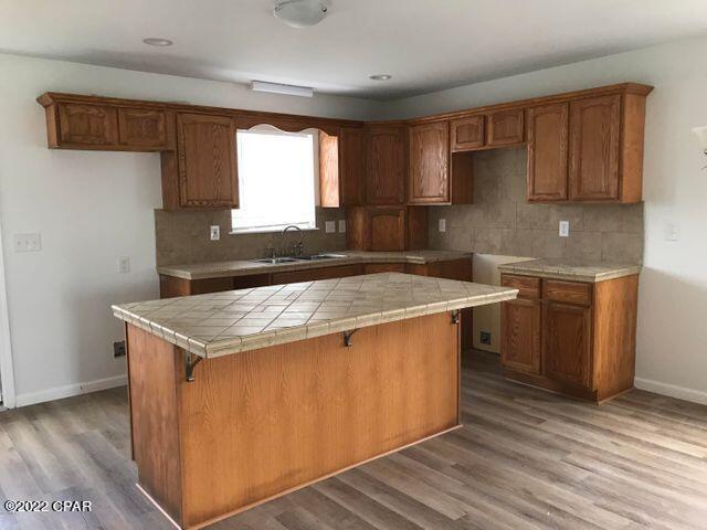 835 Sanctuary Path Grand Ridge, FL 32442 - Photo 4 of 14 Gallery Image 4