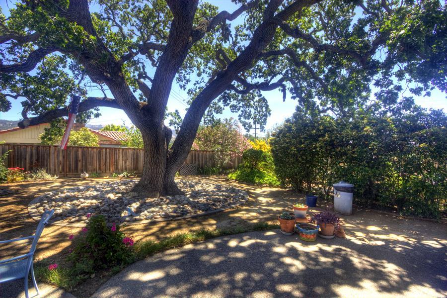 2805 Roop Road Gilroy, CA 95020 - Photo 16 of 20 a view of a tree with a yard