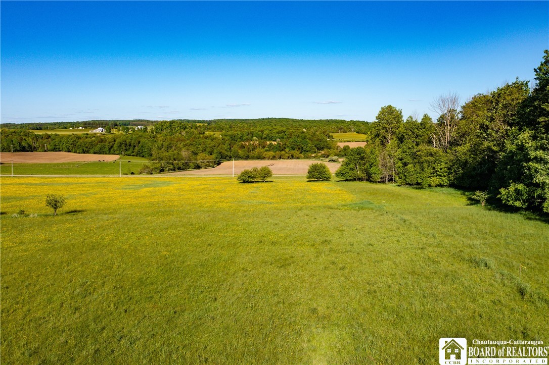 Sherman Road Ripley, NY 14775 - Photo 10 of 13