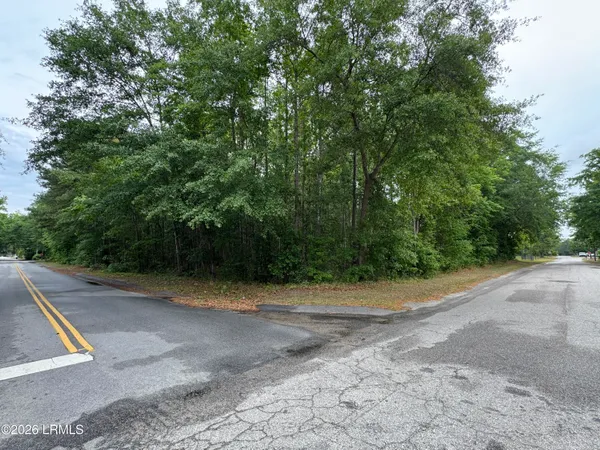 $29,900 | 0 Ellis Avenue, Estill, SC 29918