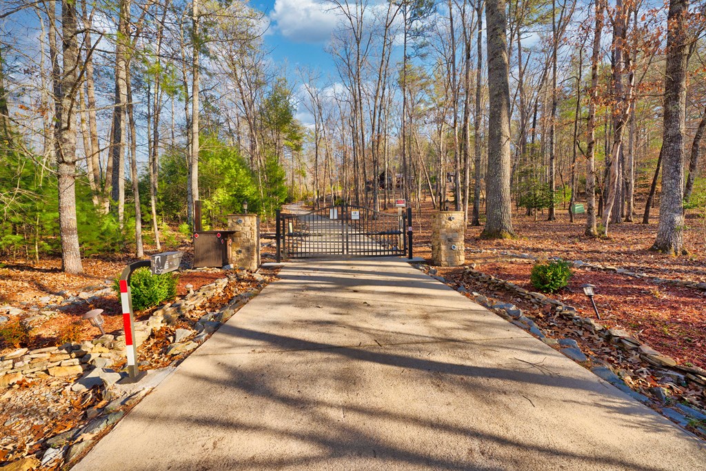 323 Stanley Creek Road Blue Ridge, GA 30513 - Photo 49 of 82 Gallery Image 49