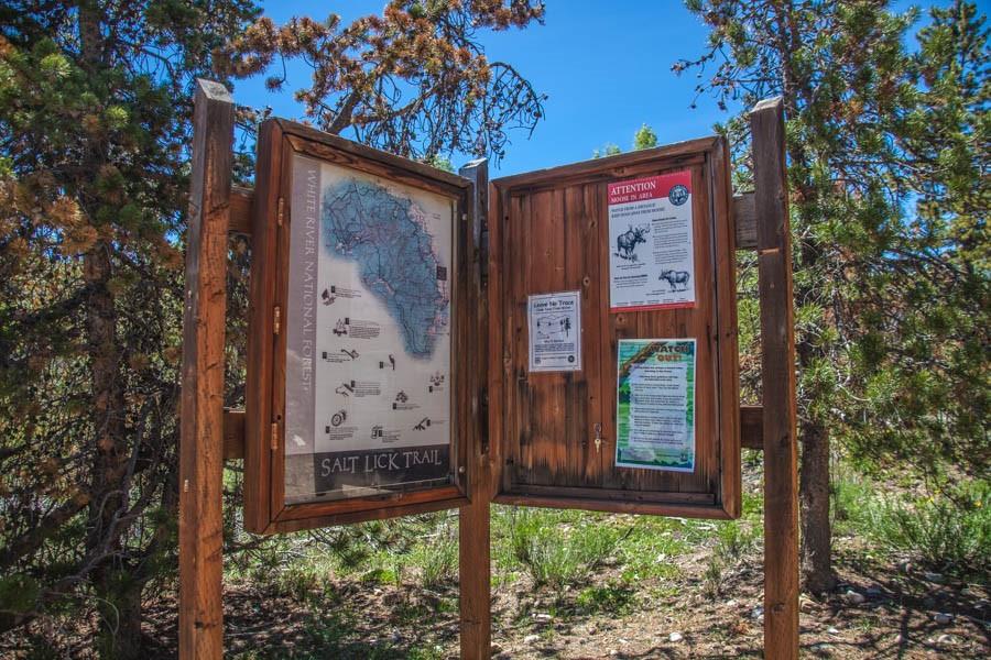 91199 Ryan Gulch Road, Unit A5 Silverthorne, CO 80498 - Photo 21 of 31 front view of a house with a tree