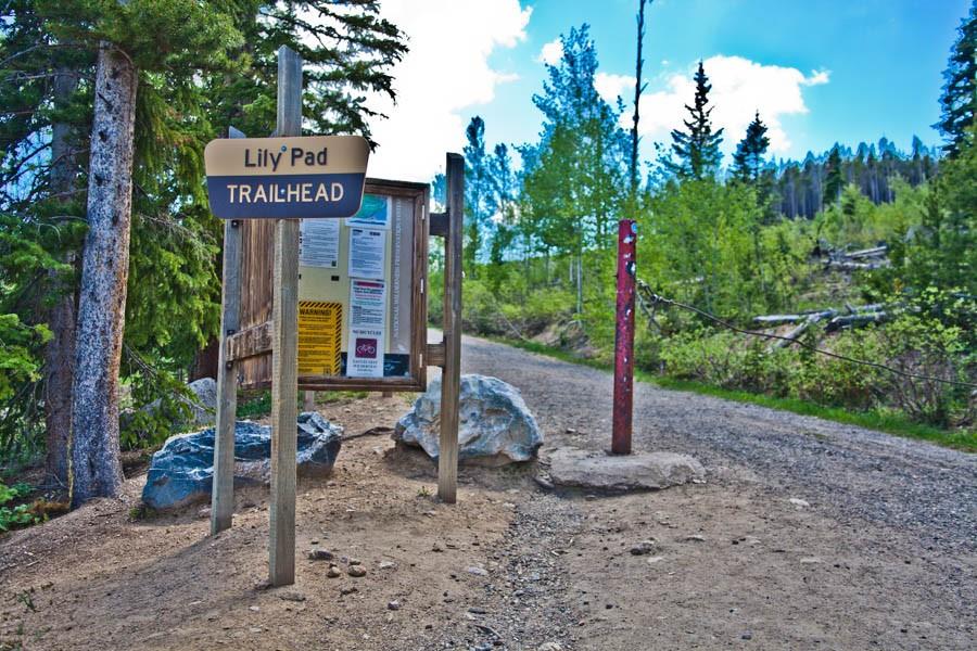 91199 Ryan Gulch Road, Unit A5 Silverthorne, CO 80498 - Photo 23 of 31 a view of a park that has a sign board large trees