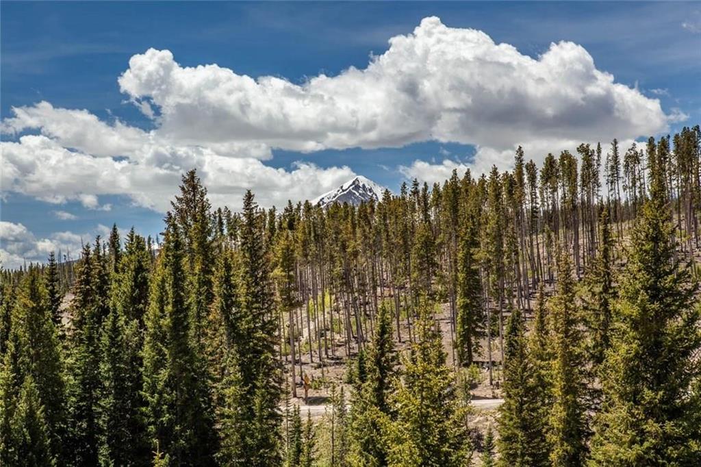 91199 Ryan Gulch Road, Unit A5 Silverthorne, CO 80498 - Photo 26 of 31 a view of a bunch of trees