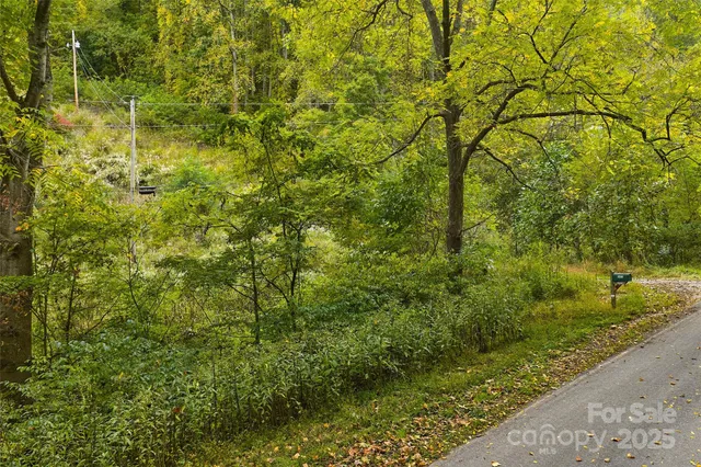 $50,000 | 348 Chandler Creek Road, Mars Hill, NC 28754