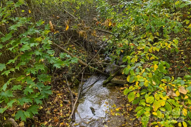 $50,000 | 348 Chandler Creek Road, Mars Hill, NC 28754