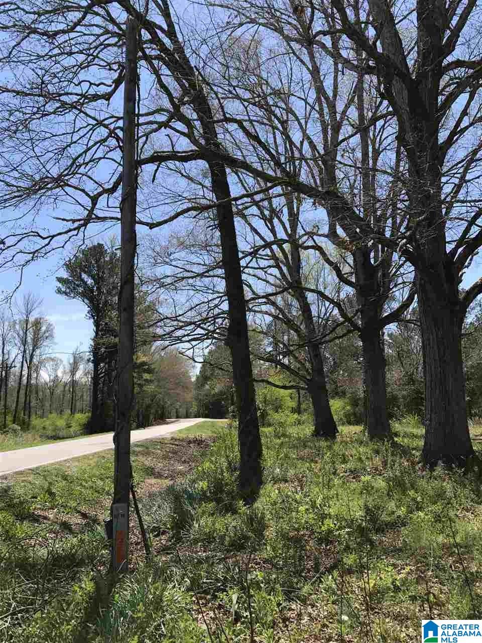 4133 Roy Webb Road, Unit 1 Jacksonville, AL 36265 - Photo 6 of 40