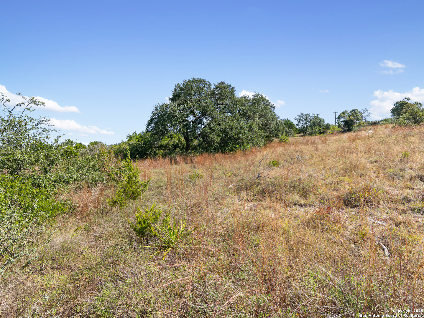 23108 Taylor Ridge San Antonio, TX 78255 - Photo 9 of 13