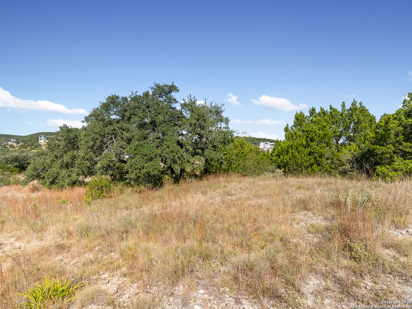 23108 Taylor Ridge San Antonio, TX 78255 - Photo 10 of 13