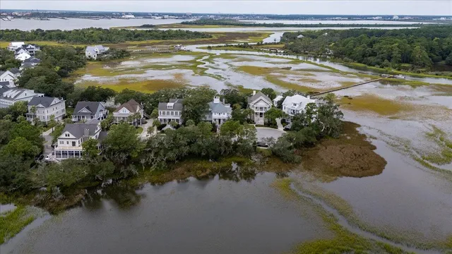 $3,100,000 | 861 Dunham Street, Daniel Island, SC 29492