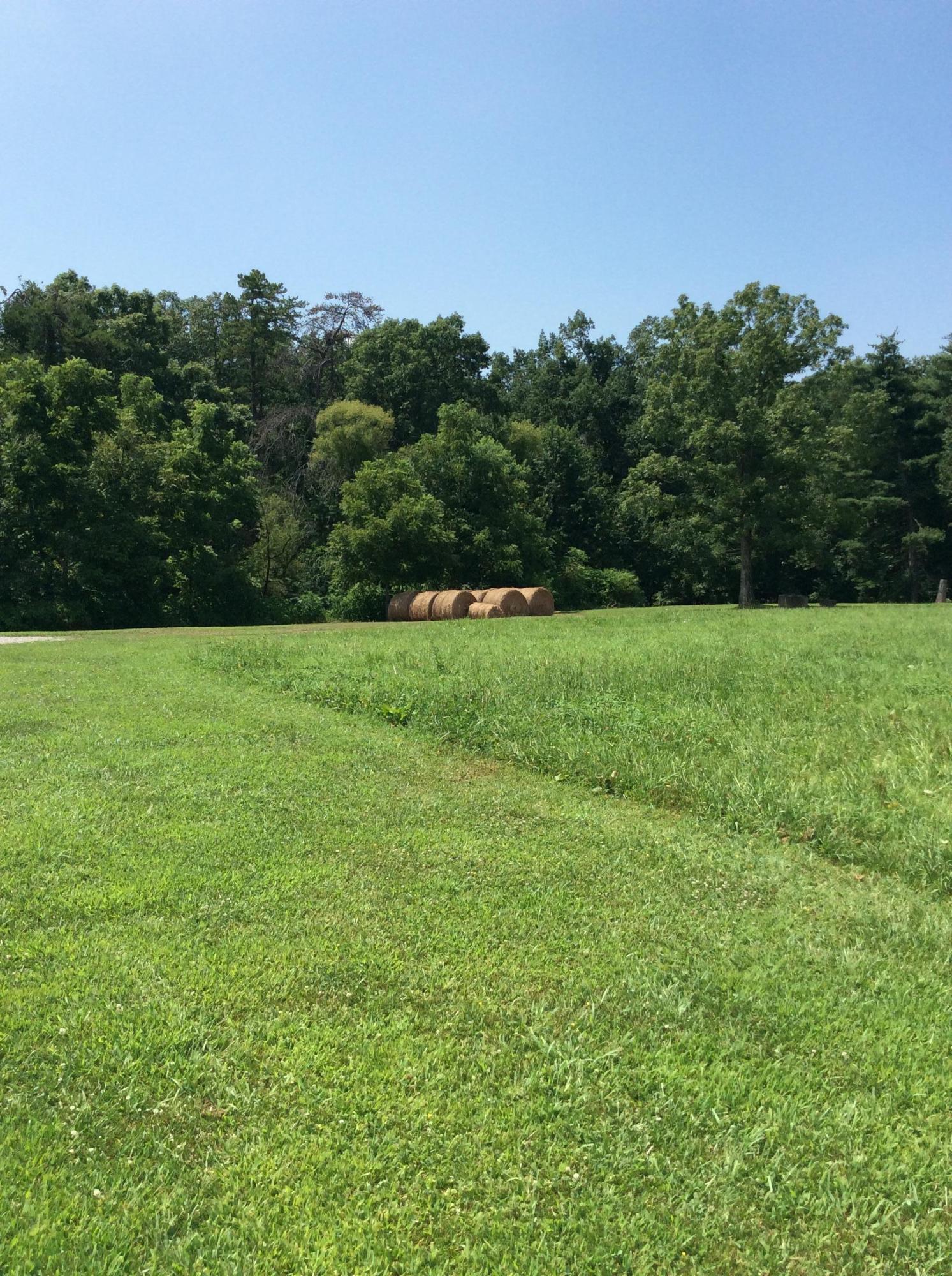 1113 Shirley Road Allardt, TN 38504 - Photo 18 of 20 IMG_0245