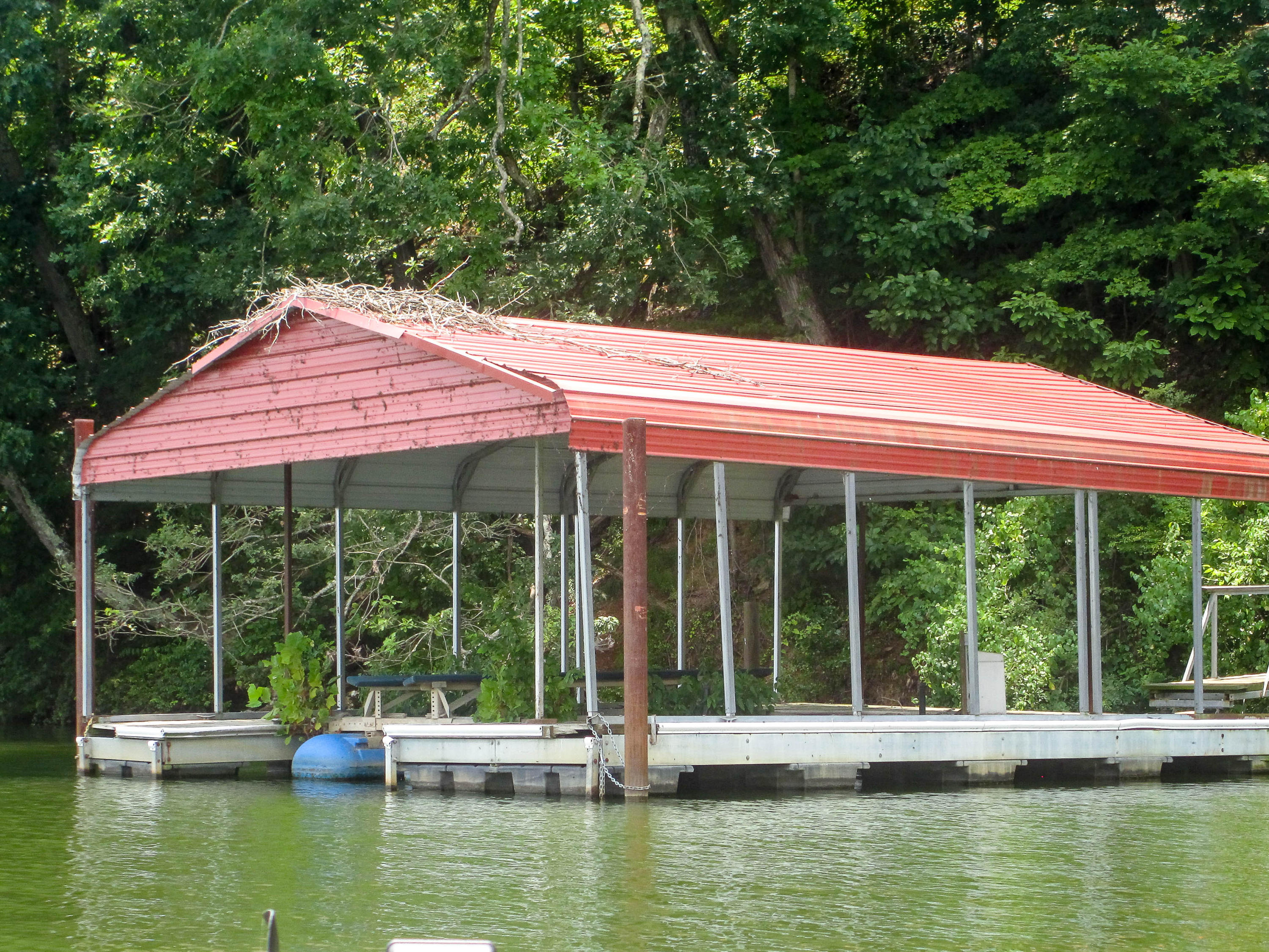 121 Mariners Point Kingston, TN 37763 - Photo 35 of 38 Dock