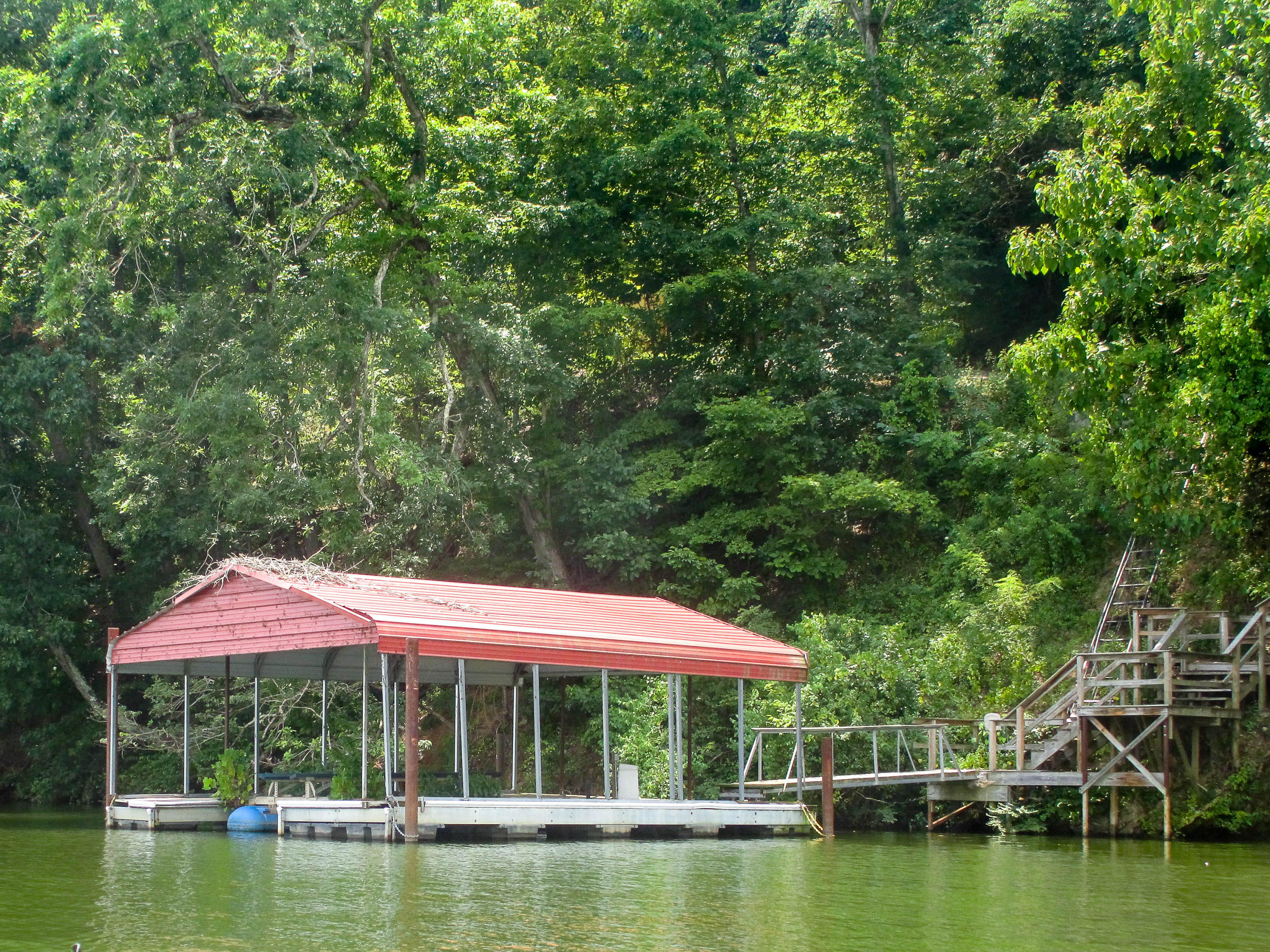 121 Mariners Point Kingston, TN 37763 - Photo 6 of 38 Dock