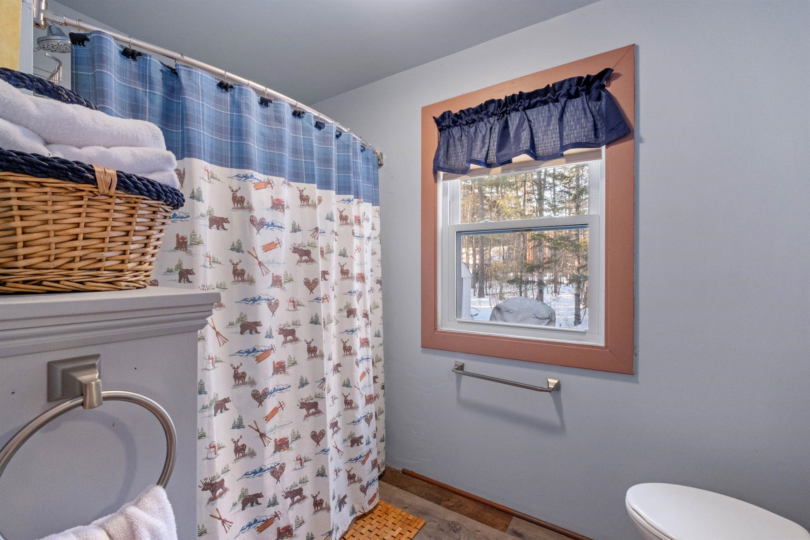 320 Maple Road Tamworth, NH 03886 - Photo 27 of 39 Gallery Image 27