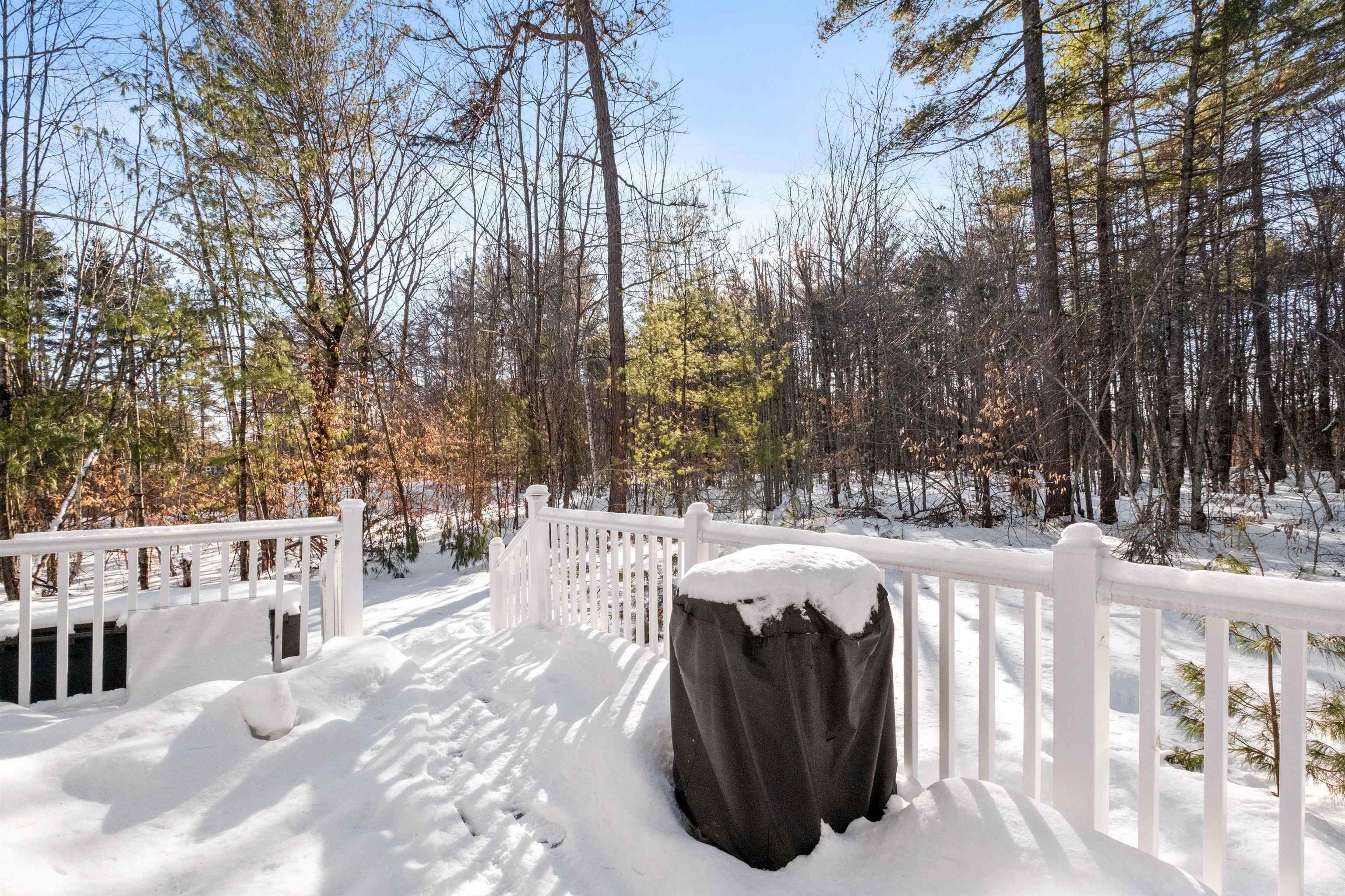 320 Maple Road Tamworth, NH 03886 - Photo 9 of 39 Gallery Image 9