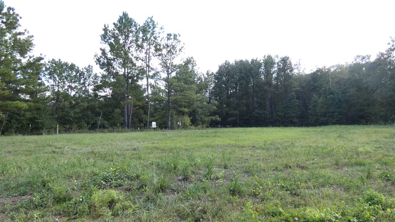 820 Clark Road Monticello, FL 32344 - Photo 1 of 6 Gallery Image 1
