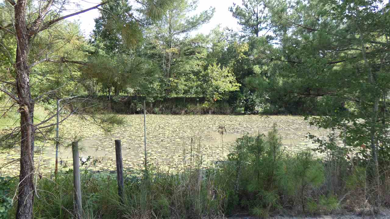 820 Clark Road Monticello, FL 32344 - Photo 2 of 6 Gallery Image 2