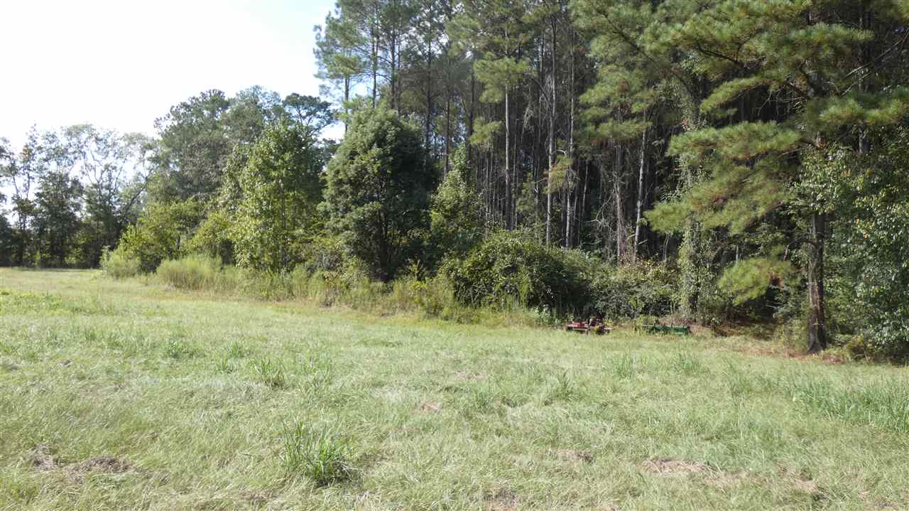 820 Clark Road Monticello, FL 32344 - Photo 3 of 6 Gallery Image 3