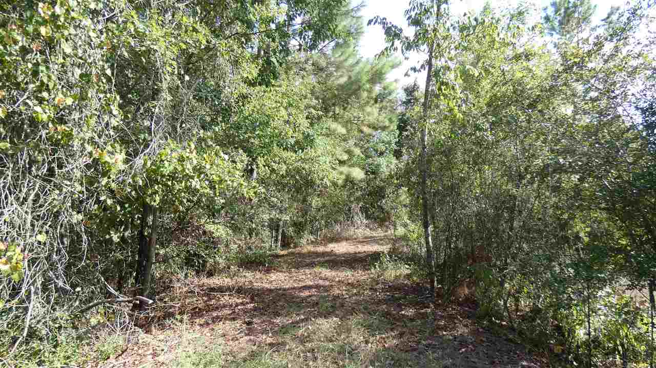 820 Clark Road Monticello, FL 32344 - Photo 4 of 6 Gallery Image 4