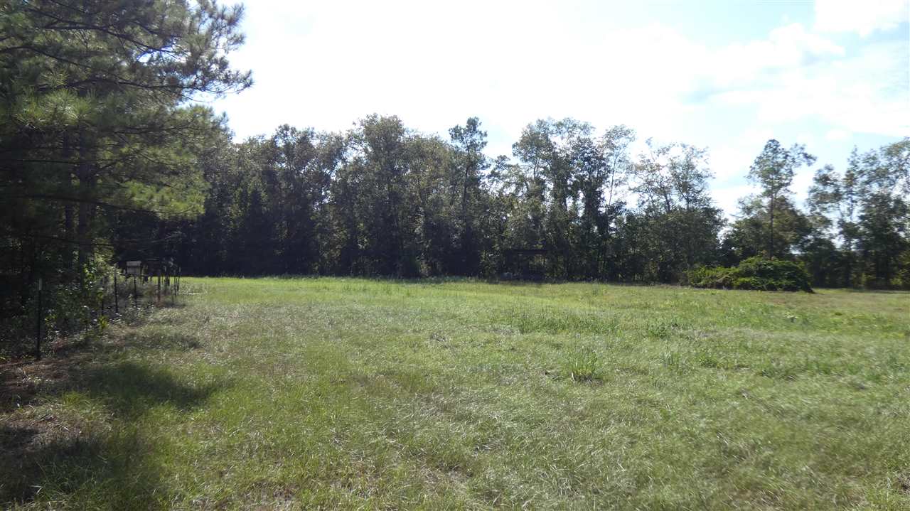 820 Clark Road Monticello, FL 32344 - Photo 6 of 6 Gallery Image 6