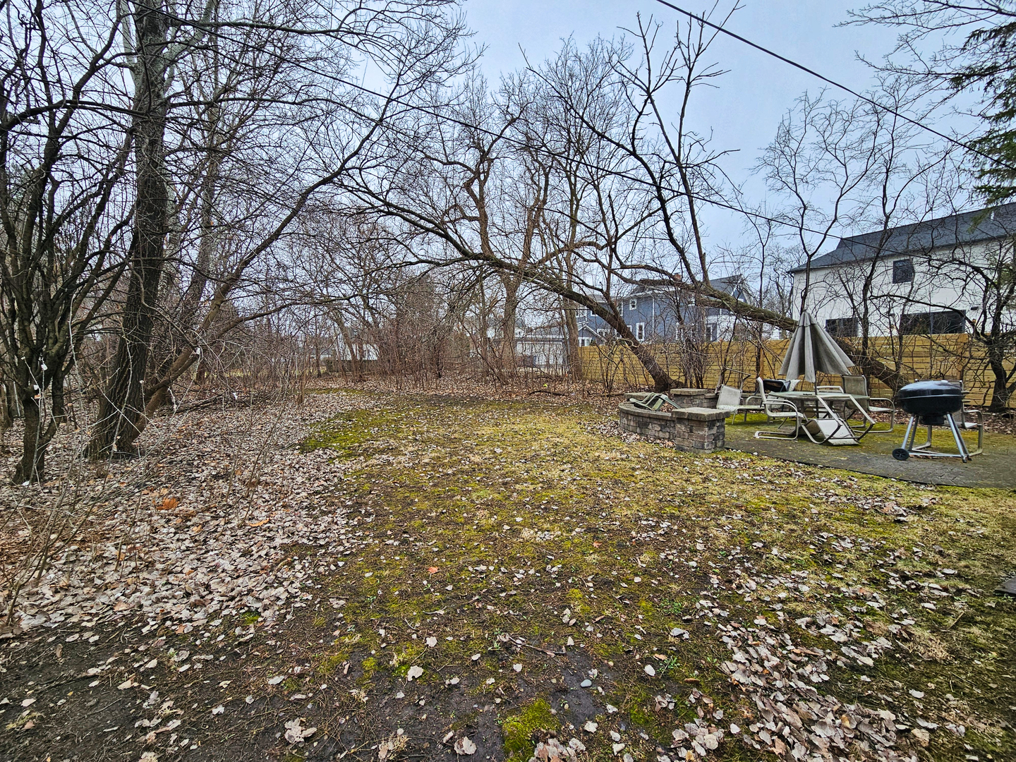 270 East St Charles Road Elmhurst, IL 60126 - Photo 5 of 22 a view of outdoor space with deck and tree