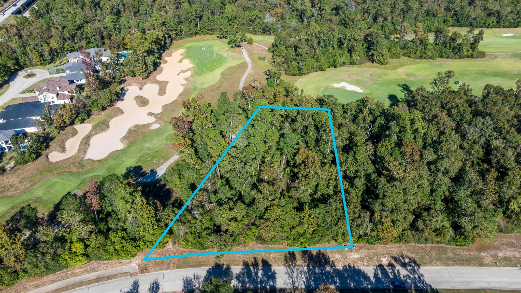 a view of a yard with plants