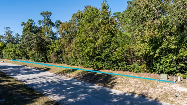 a view of a yard with a tree