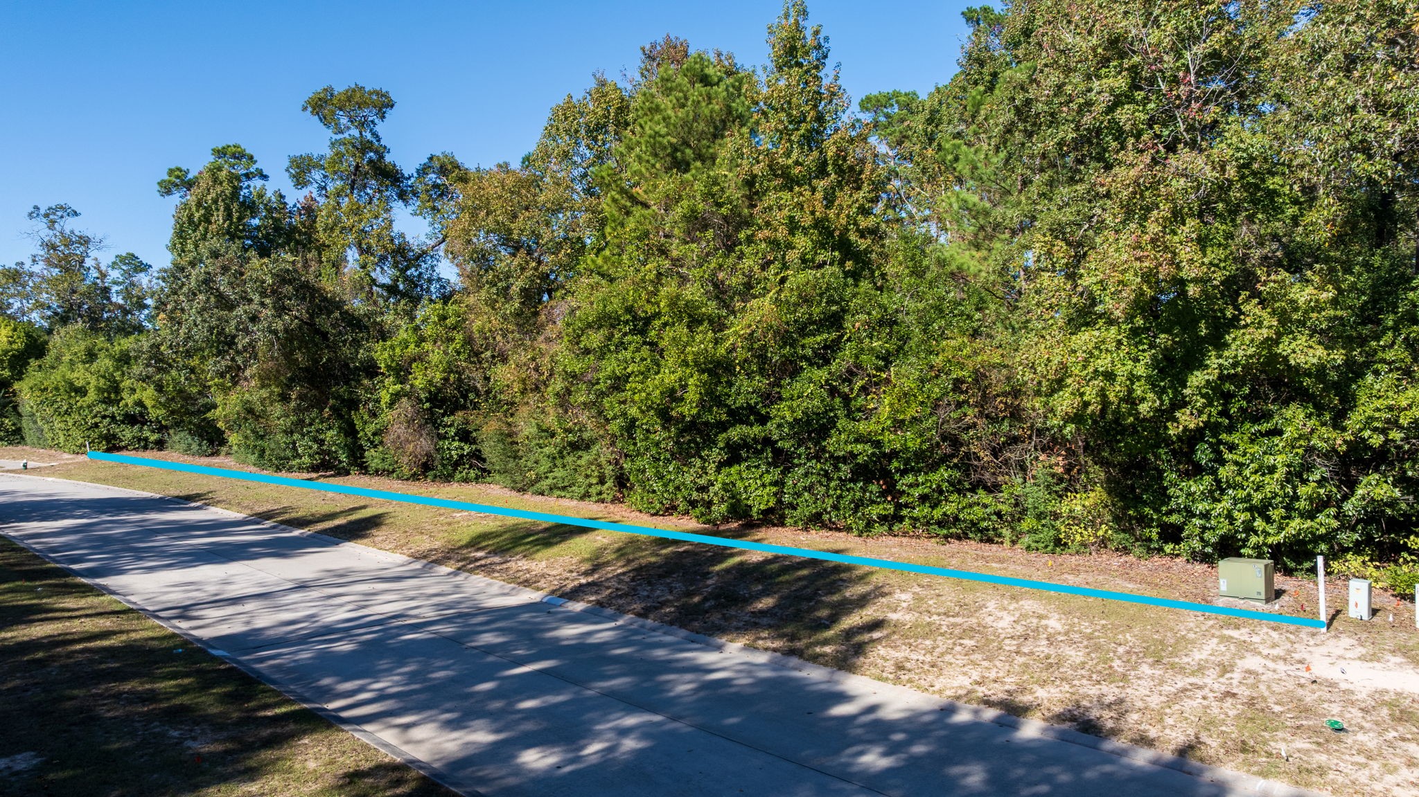 75 Mediterra Way Spring, TX 77389 - Photo 5 of 23 a view of a yard with a tree