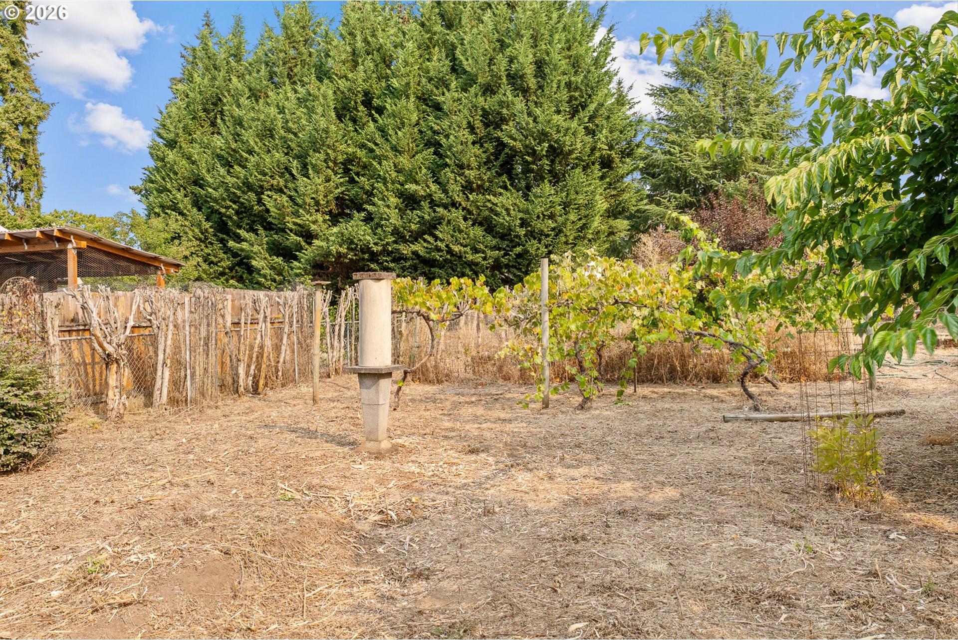 15035 Glen Oak Road Oregon City, OR 97045 - Photo 29 of 42 Garden