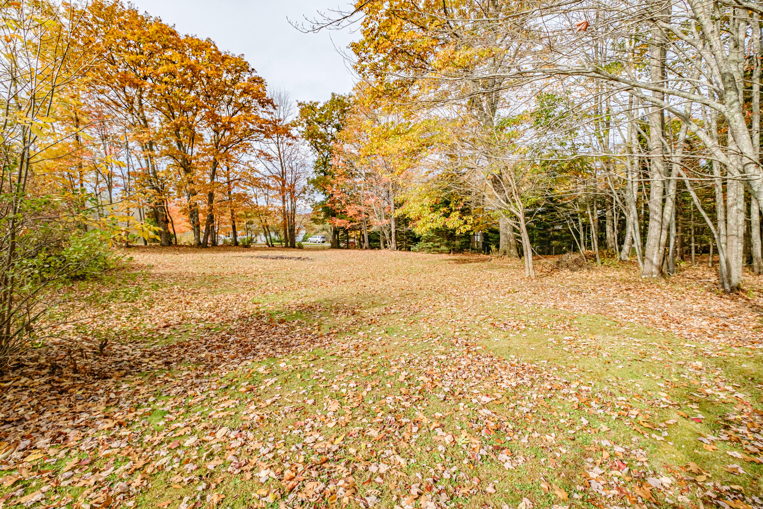181 Cobb Road Camden, ME 04843 - Photo 61 of 67 20201020gp-61065