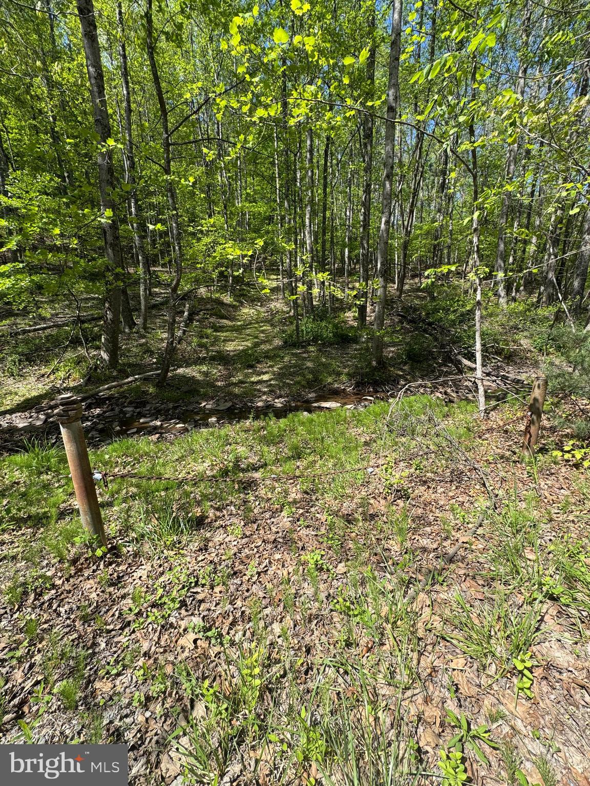 0 Shockeysville Road Winchester, VA 22603 - Photo 4 of 17