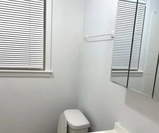a white toilet sitting in a bathroom next to a window