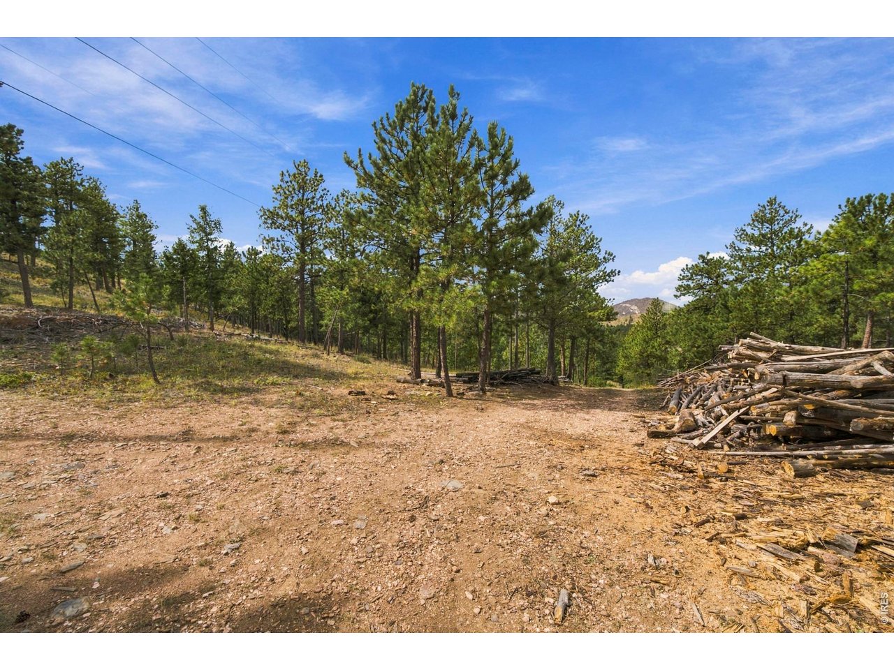 14133 Rist Canyon Road Bellvue, CO 80512 - Photo 29 of 44 Seller has been diligent to keep the land clear of forest fire fuel. Plenty of firewood can be found on this land.
