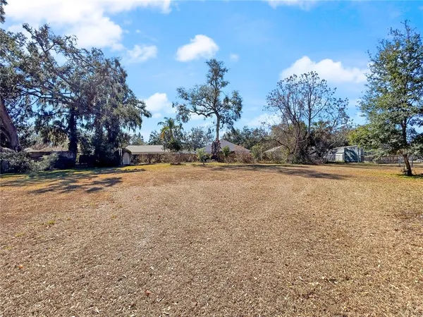 a view of road with large trees