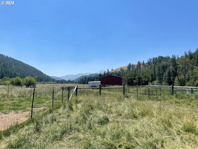 62254 Wallowa Mtn Loop Road Joseph, OR 97846 - Photo 14 of 35 a view of green field with trees in the background