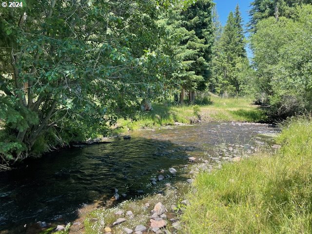 62254 Wallowa Mtn Loop Road Joseph, OR 97846 - Photo 16 of 35 a view of a lake with large trees