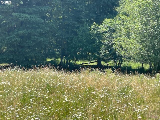 62254 Wallowa Mtn Loop Road Joseph, OR 97846 - Photo 17 of 35 a view of swimming pool from a yard