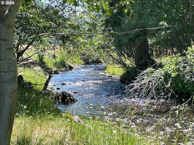 62254 Wallowa Mtn Loop Road Joseph, OR 97846 - Photo 19 of 35 a view of a garden