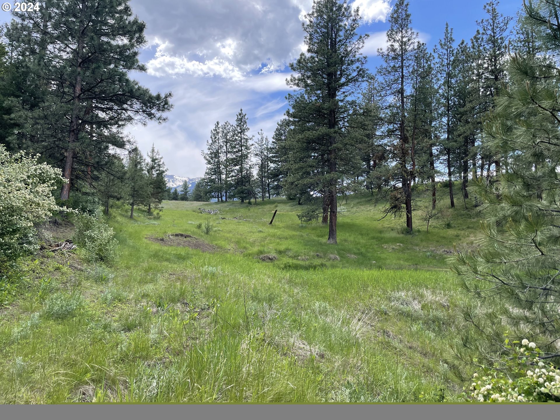 62254 Wallowa Mtn Loop Road Joseph, OR 97846 - Photo 2 of 35 a view of outdoor space with green field and trees
